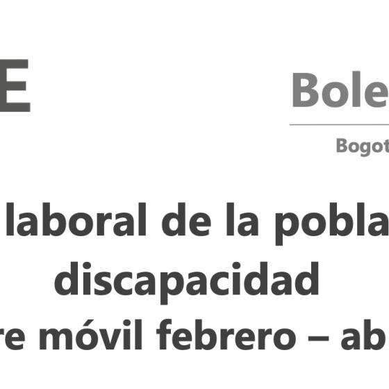 Imagen de la publicación "Mercado Laboral de la la Población con
Discapacidad. Trimestre móvil febrero – abril 2025".